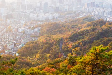 일출과 함께한 서울 여행 명소, 서울가볼만한곳 아름다운 인왕산의 가을 단풍