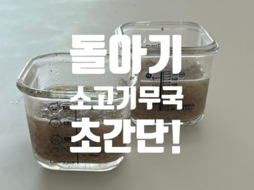 [유아식 레시피] 초간단 돌아기 소고기 무국 (인생 첫 무국!)