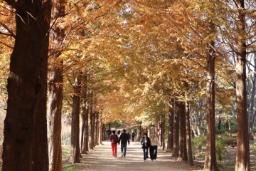 가을 풍경도 좋은 인천 가볼만한곳 인천대공원
