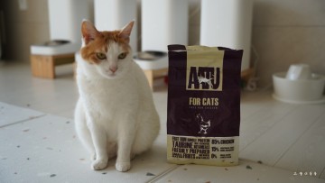 고양이사료 추천 아투 캣 치킨 고양이 자동급식기 급여량 설정