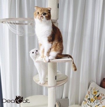 고양이 캣타워 추천 해먹있는 디어캣 원목 캣폴