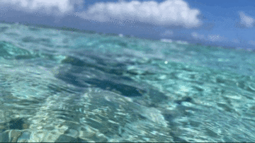 괌 스노쿨링은 리티디안비치 자유여행