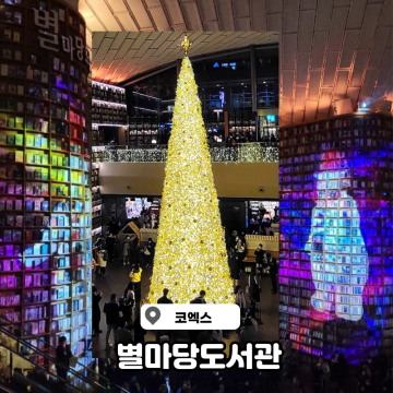 서울책방 코엑스 별마당도서관 트리 미디어사파드 시간