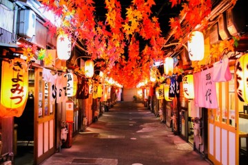 나 혼자 산다 이시언 일본여행 시즈오카 가볼만한곳, 일정