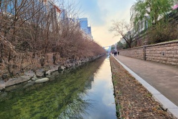 서울에서 언제 걸어도좋은 청계천 산책 동묘-청계광장 코스