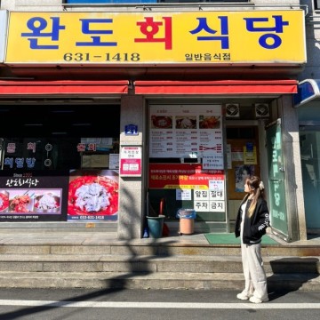 속초 맛집 완도회식당 산오징어물회 재방문 후기