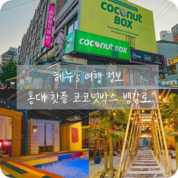 홍대 핫플 갈만한곳 코코넛박스 뱅갈로 VR 미디어전시관