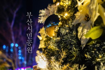 부산시민공원 빛축제, 부산 겨울 가볼만한 곳, 크리스마스 트리
