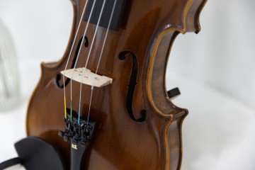 나에게 맞는 바이올린 사이즈 고르는 법 아직도 어렵다면?