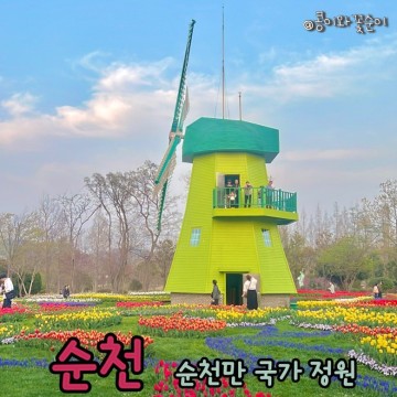순천만 국가 정원 박람회 순천 아이와 가볼만한곳 상세후기 실시간