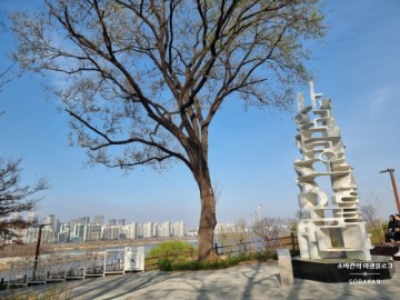 서울 한강 조망명소 용양봉저정 공원 전망대 리버뷰 야경명소