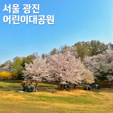 서울 숨은 벚꽃 명소, 어린이대공원 벚꽃 명당 3곳 정보, 주차장 유모차대여