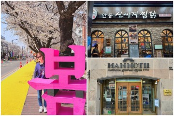 안동 당일치기 여행 - 찜닭골목 맛녀석 맛집 신세계찜닭 / 맘모스 베이커리 / 월영교 / 탈춤공원 벚꽃축제