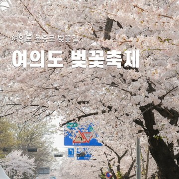 2023 여의도 벚꽃 축제 정보 윤중로 벚꽃길 교통통제 주차
