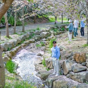 제주도 서귀포 벚꽃 명소 예래생태공원 제주 서부 여행