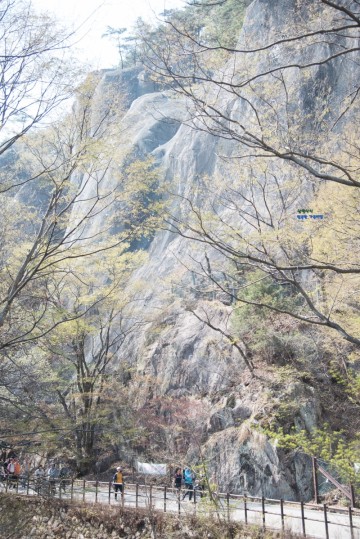 계룡산 국립공원 내 공주 동학사 벚꽃 계곡 주차 및 갑사 가는 셔틀버스