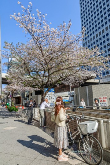 오사카 4월 날씨 옷차림 벚꽃 마스크까지 실시간 일기
