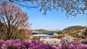 4월 지금 가볼만한곳 부천 꽃구경 원미산 진달래동산 둘레길 부천 데이트코스!