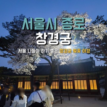 서울 나들이 하기 좋은 창경궁 벚꽃 야경