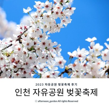 인천 가볼만한곳 자유공원 벚꽃축제 2023년 4월 8일 개화상황 먹거리 볼거리 공연 체험 등 후기