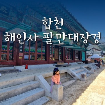 아이와 다녀온 해인사 팔만대장경 후기(시간, 예약, 유아 주차장)