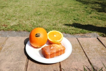 오렌지콩피 오렌지케이크 만들기 아이간식 썬키스트 하이브릭스 블랙라벨 네이블 오렌지 간식추천