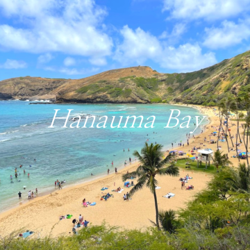 하나우마베이 :: 하와이 필수 여행지 스노쿨링 여행 명소 후기 (필수 준비물 예약방법)