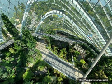 [아시아/싱가포르] Gardens by the Bay: Cloud Forest = 가든스 바이 더 베이: 클라우드 포레스트 = 클라우드 돔 (feat. 드라마 작은아씨들 촬영지)
