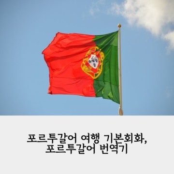 포르투갈어 여행 기본회화 문장, 포르투갈어 번역기