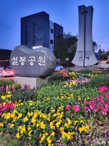 이천 설봉공원 튤립 경기도 야경명소 수변공원 주말나들이 꽃구경