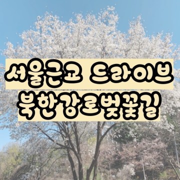 [서울근교 가볼만한곳] 가평과 양평사이, 드라이브코스 ‘북한강로벚꽃길’