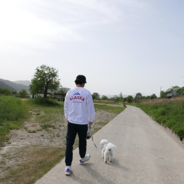 대구 강아지 산책하기 좋은 달성보 노을공원에서 반려견 친구들 만난 날