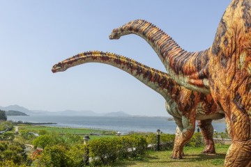 전남 해남 여행 어린이날 가볼만한곳 공룡박물관 해남 어린이 공룡대축제