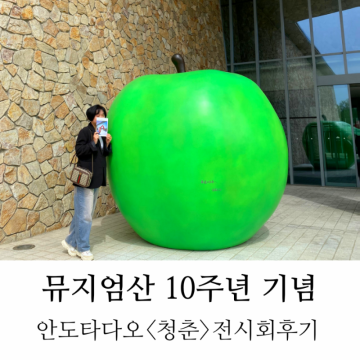 뮤지엄산 안도타다오 전시 '청춘' 전시회 후기-원주 미술관