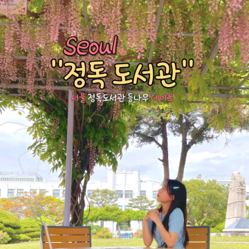 서울 데이트 가볼만한곳 정독도서관 핑크 등나무꽃 명소