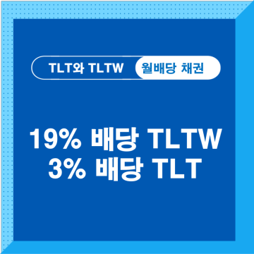 채권형 19% 월배당 ETF TLTW와 TLT 배당 정보