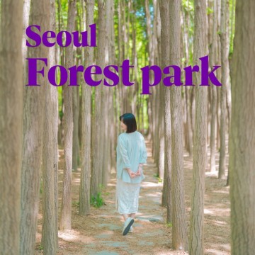 서울숲 : 피크닉 장소 및 포토존 데이트 코스 총정리!(주차장, 꽃 사슴 위치)