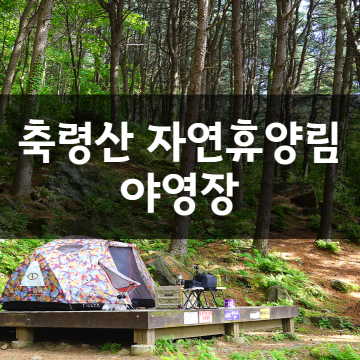 축령산 자연휴양림 야영장 캠핑데크 4구역 예약 캠핑후기 (진생가 홍삼)