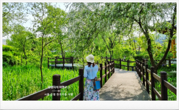 5월 서울 당일치기 은평 한옥마을 주차, 북한산 뷰, 여유로운 여름 힐링 산책