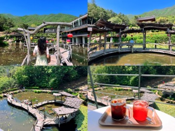 경남 산청 수선사 카페 연못 사진찍기 좋은곳