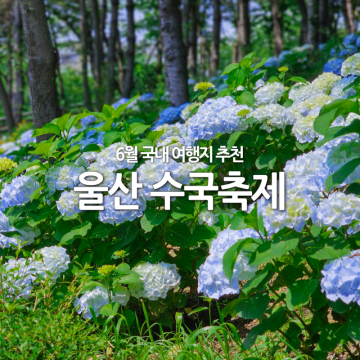6월 국내 여행지 추천 울산 꽃구경 장생포 수국 꽃축제