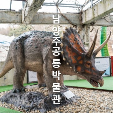 남양주 오남 공룡 체험 전시관 우석헌 자연사박물관 덕소 자연사박물관