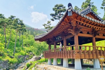 경남 가볼만한곳 산청 한방테마파크 동의보감촌 국내 가족여행 추천