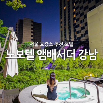 서울 호캉스 추천 노보텔 앰배서더 강남 호텔 수영장 가성비 굿