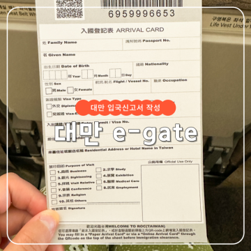 대만 입국신고서 작성방법 온라인 e-gate 등록 후기