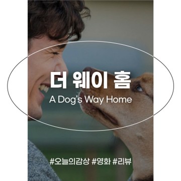 강아지 영화 더 웨이 홈 정보 줄거리 넷플릭스 가족영화 추천