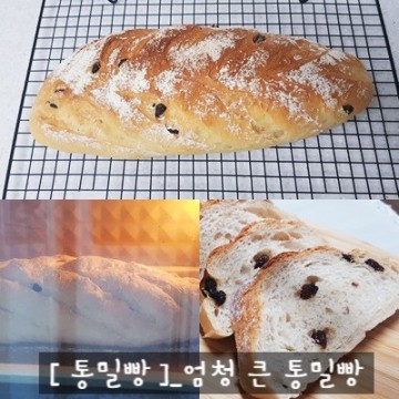 [ 견과류 통밀빵 ]_홈베이킹_엄청 큰 통밀빵 만들기_홈카페_홈브런치