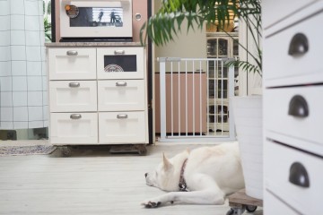 강아지 주방 안전문, 안전가드 설치 후기 (내돈내산)