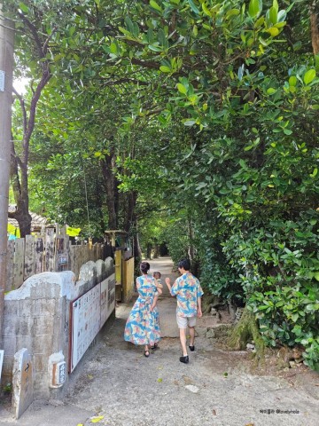 오키나와 갈만한 곳 비세후쿠기 가로수길을 즐기는 두 가지 방법