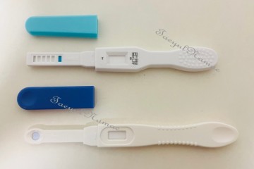 얼리 임테기 사용시기 임신 테스트기 희미한 두줄 정확도